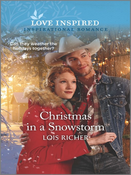Title details for Christmas in a Snowstorm by Lois Richer - Available